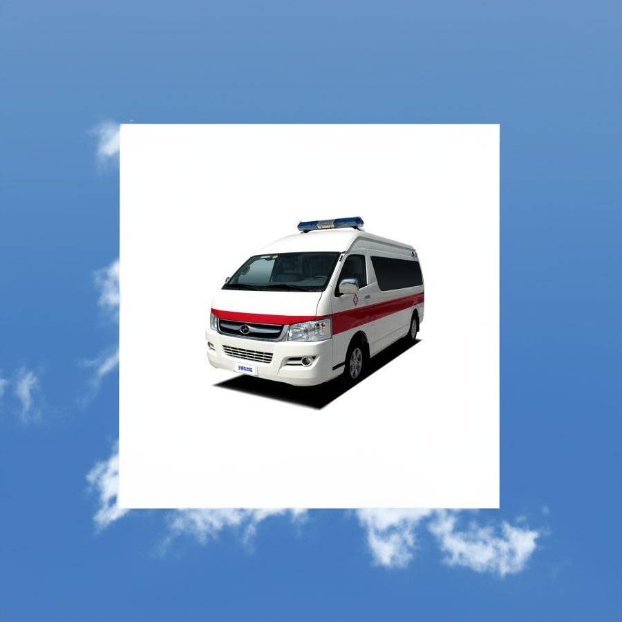 山西解放军264医院（山西264医院）租救护车护送到巴音郭楞蒙古若羌县 救护车出租公司怎么样