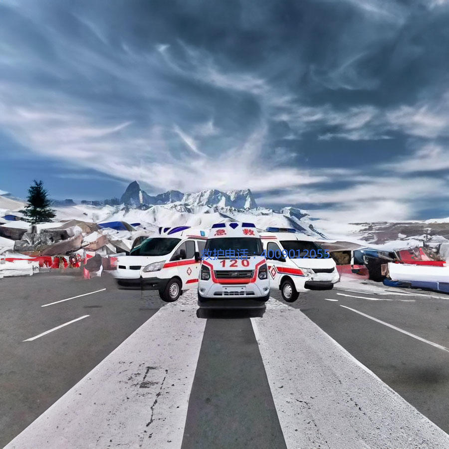 租赁私人救护车