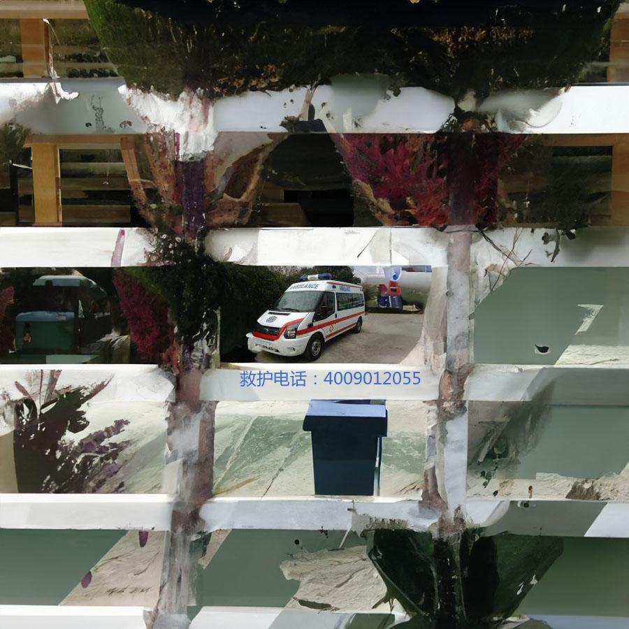 租赁急救车电话