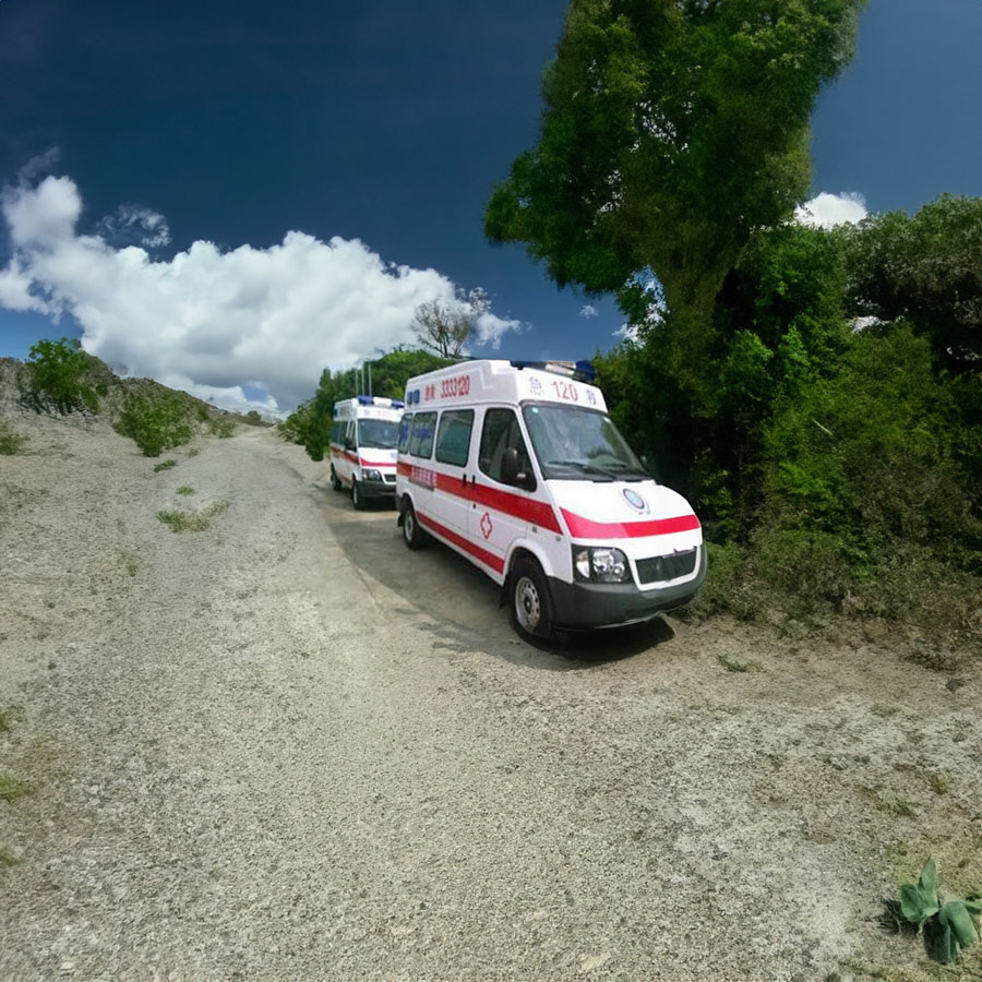 租赁急救车电话
